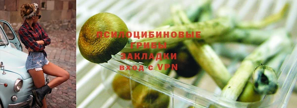 стаф Алексин