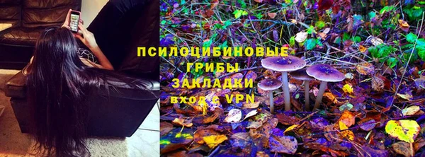 стаф Алексин