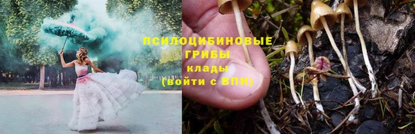 каннабис Алзамай