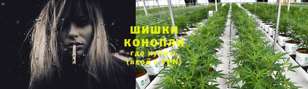 каннабис Алексеевка