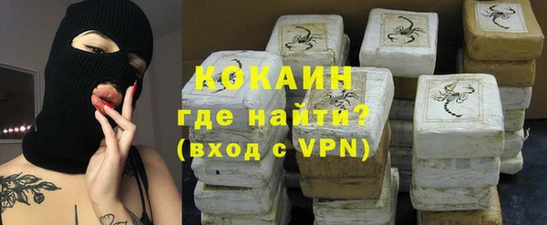 тгк Абаза