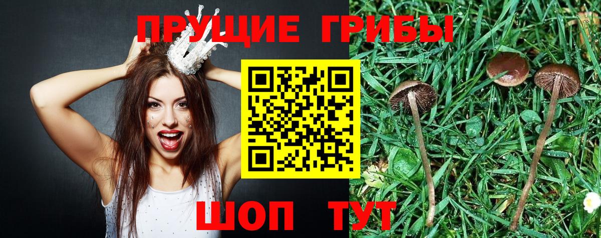 Псилоцибиновые грибы MAGIC MUSHROOMS Иркутск